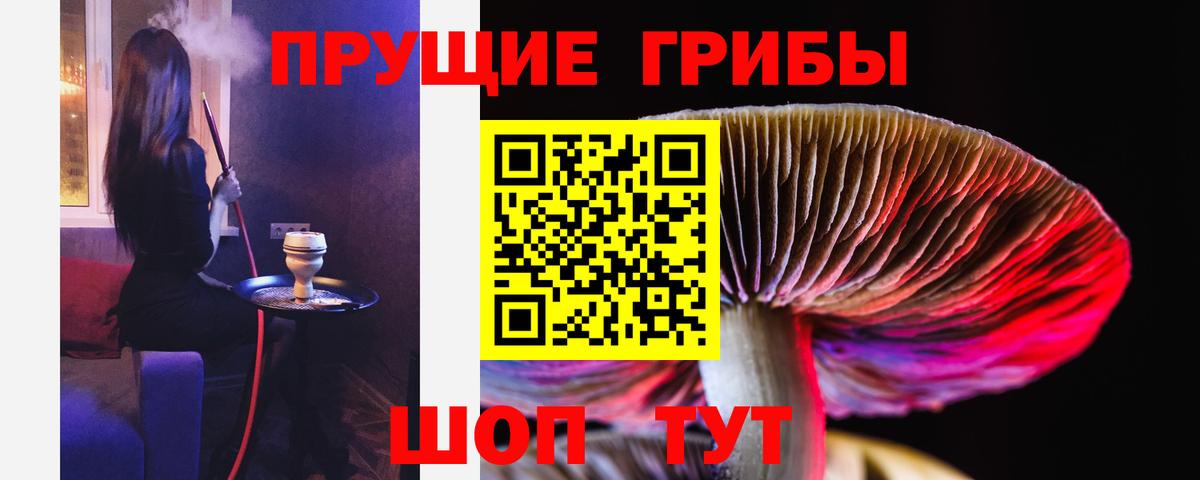 Артёмовский  Галлюциногенные грибы прущие грибы  Вход с VPN 
